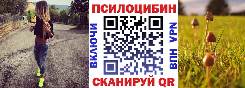 мориарти формула  Саранск  Псилоцибиновые грибы мицелий 